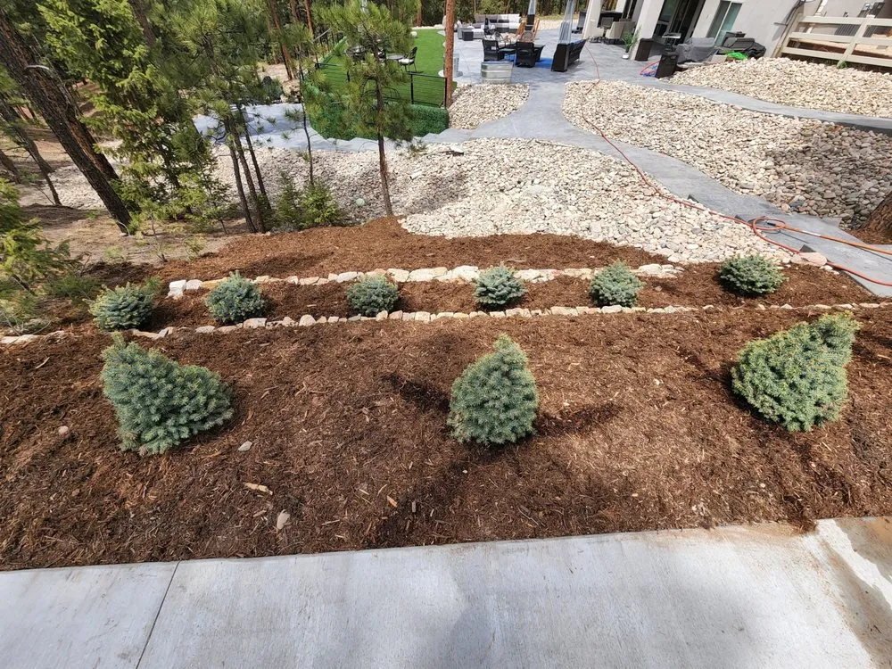 Professional yard maintenance in Colorado Springs, CO - Vanta Outdoors