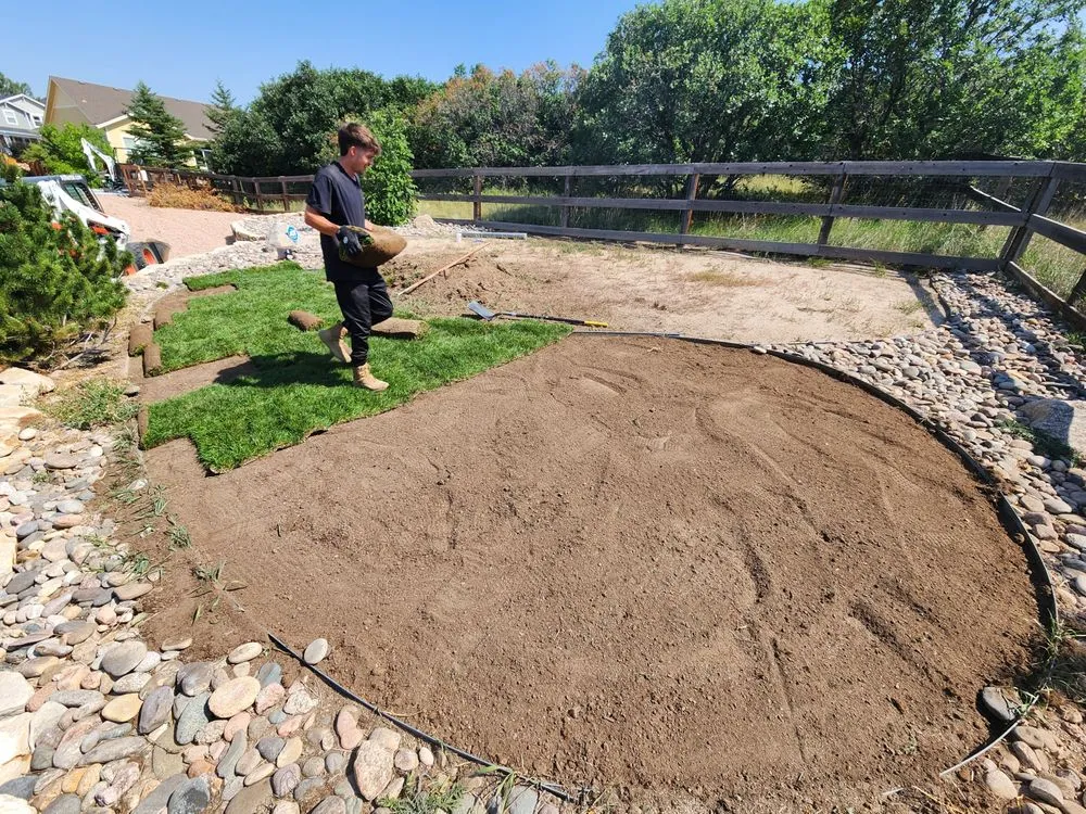 Affordable yard cleanup service in Colorado Springs, CO by Vanta Outdoors