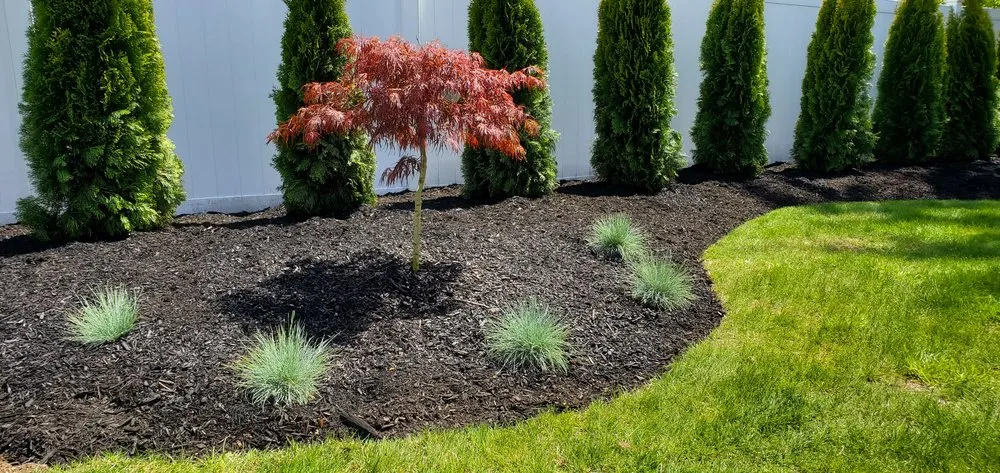 Top-rated landscaping services in Paramus, NJ by Vantage Landscaping