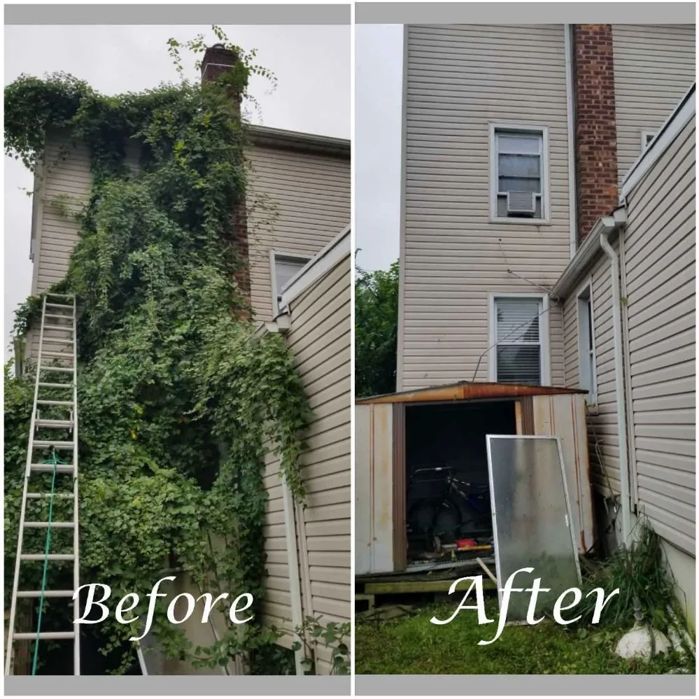 Custom yard maintenance in Paramus, NJ by Vantage Landscaping