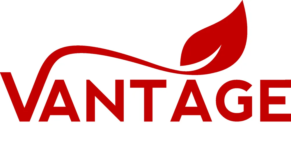 Top-rated residential landscaping in Paramus, NJ - Vantage Landscaping