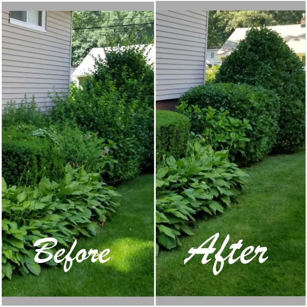 Top-rated garden landscaping in Paramus, NJ by Vantage Landscaping