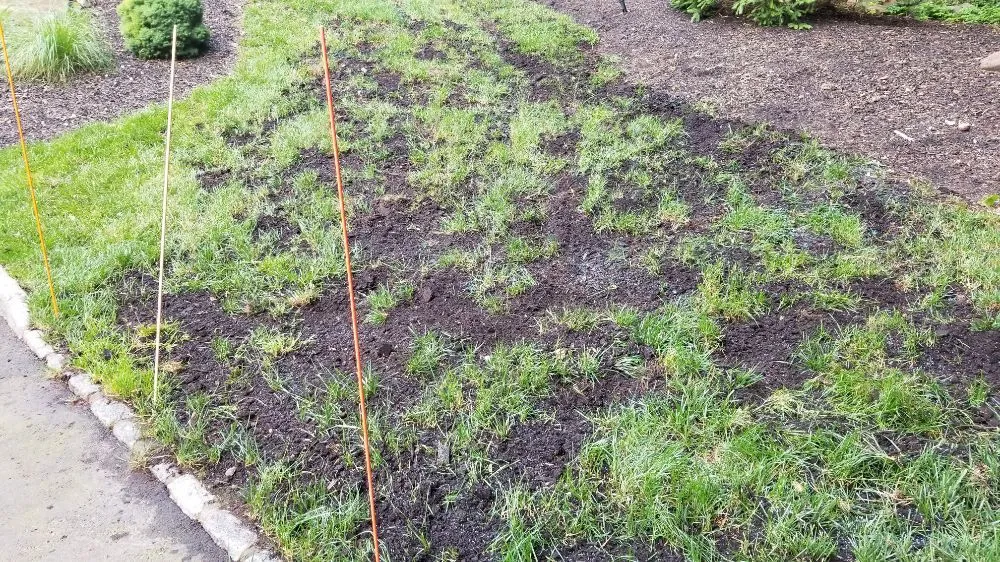 Professional garden landscaping in Paramus, NJ by Vantage Landscaping