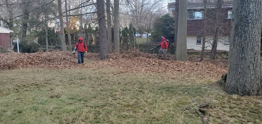 Top-rated outdoor landscaping for outdoor upgrades in Paramus, NJ by Vantage Landscaping