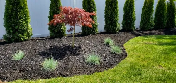 Vantage Landscaping
