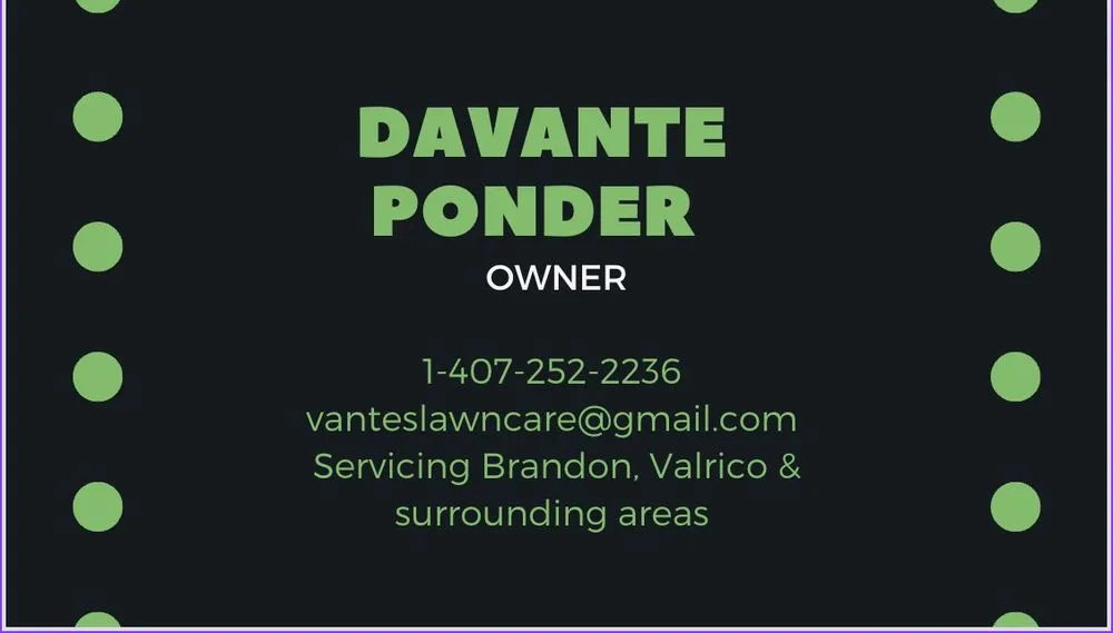 Expert outdoor landscaping experts serving Valrico, FL - Vantes Lawn Care Service
