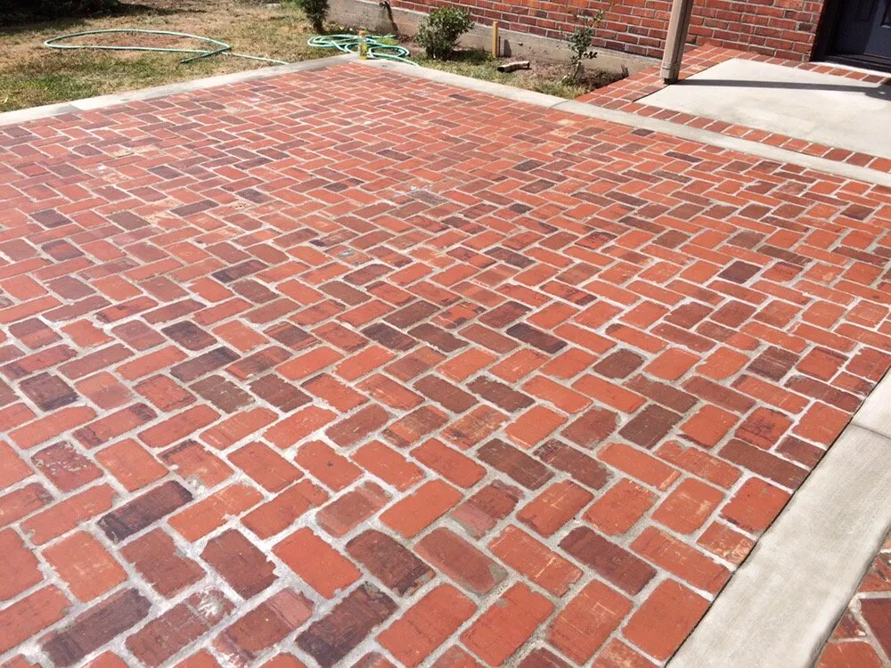 Top-rated yard maintenance in University Place, WA by VanTran Gardening