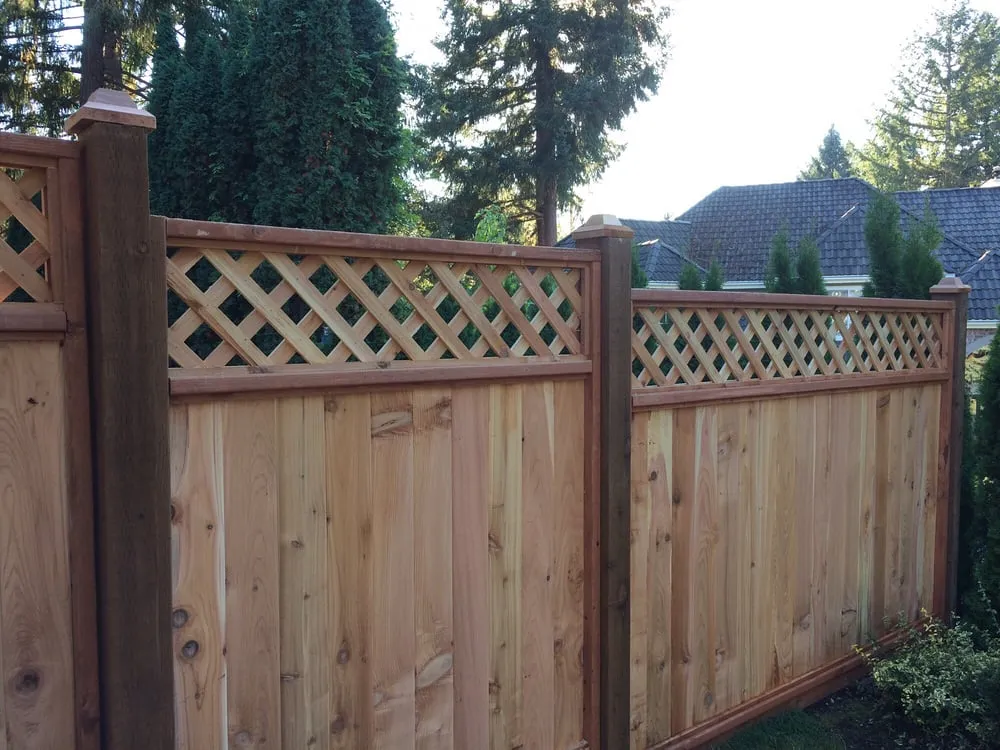 Trusted yard cleanup service in University Place, WA by VanTran Gardening