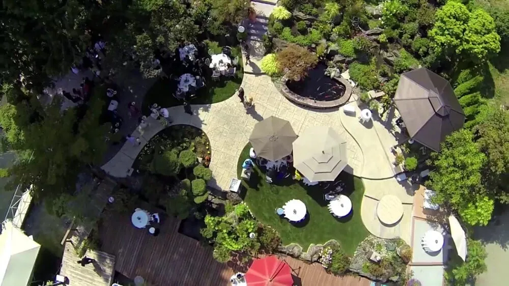 Affordable yard cleanup service in University Place, WA - VanTran Gardening