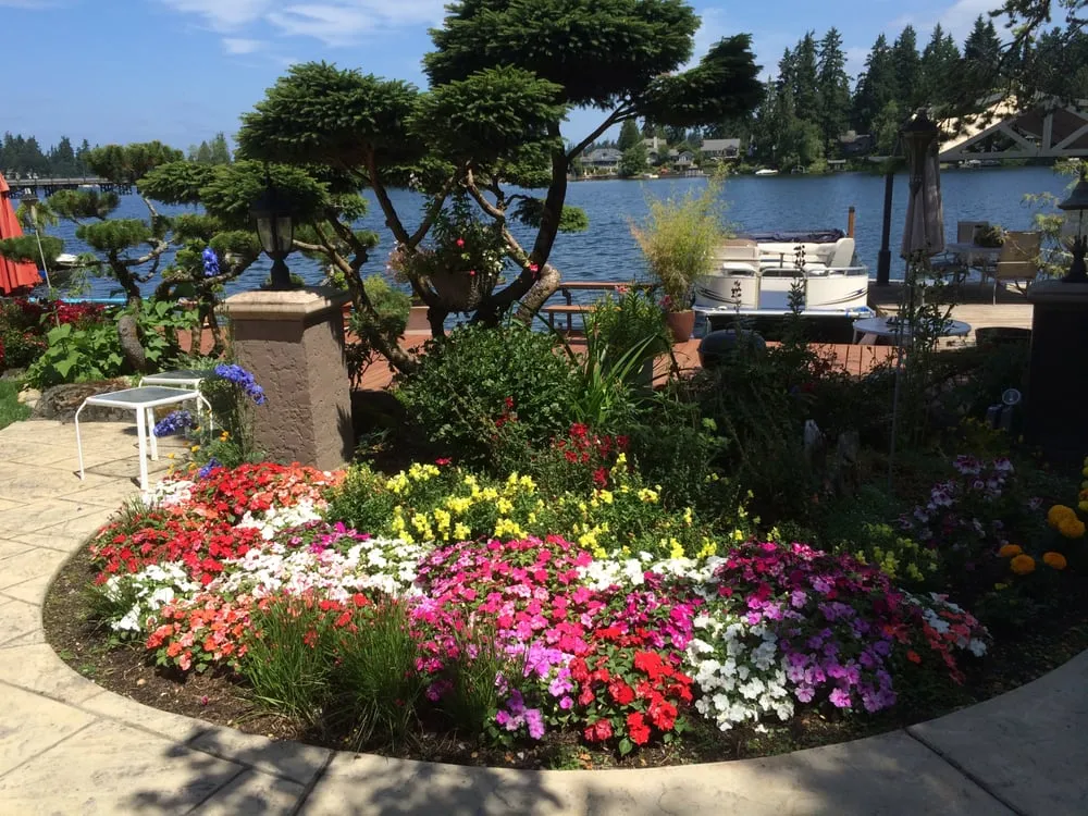 Top-rated lawn care service for beautiful yards across University Place, WA - VanTran Gardening