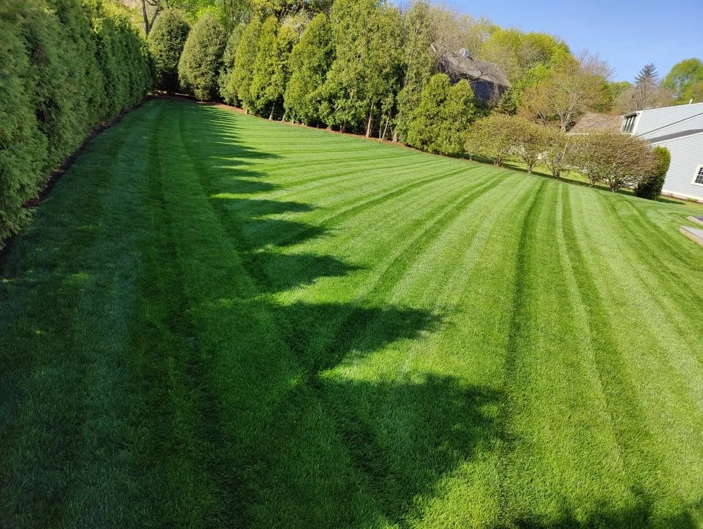 Custom lawn mowing service with custom design in Taunton, MA by Vanusas Landscaping
