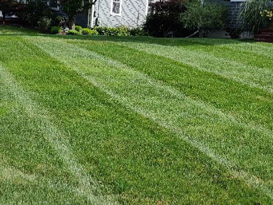 Professional landscape design with custom design across Taunton, MA - Vanusas Landscaping