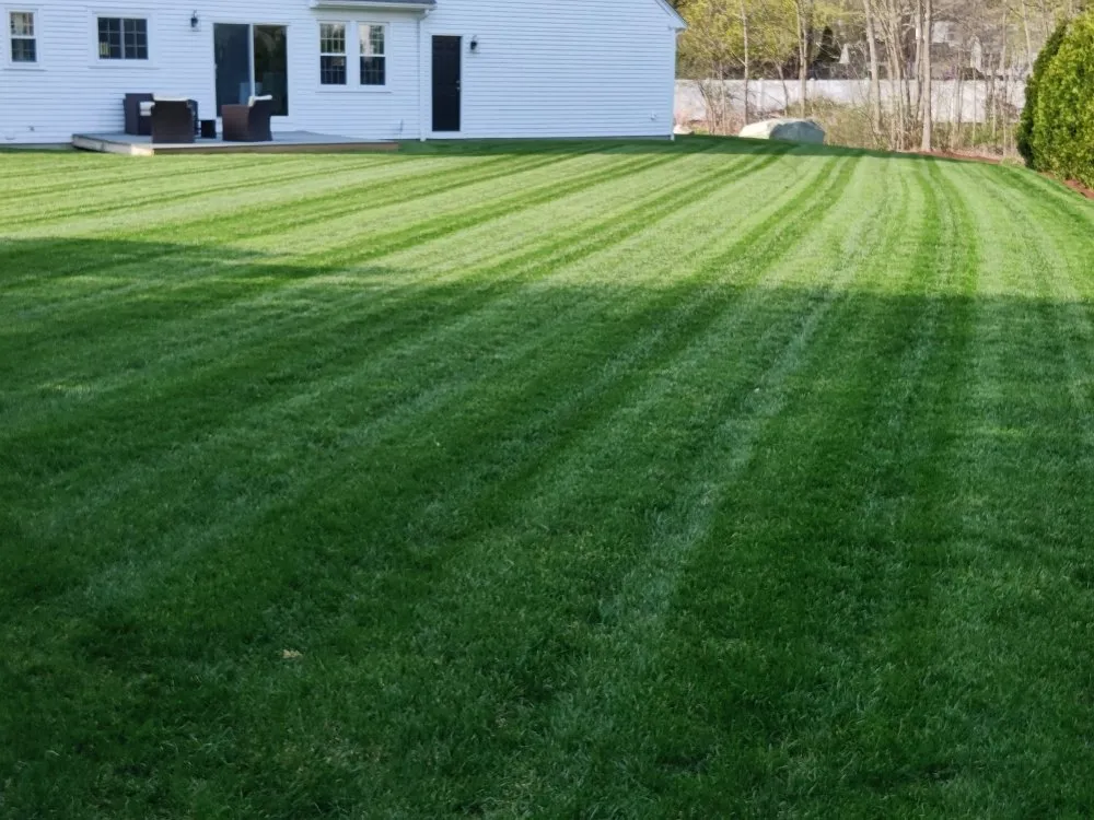 Reliable landscape installation experts serving Taunton, MA - Vanusas Landscaping