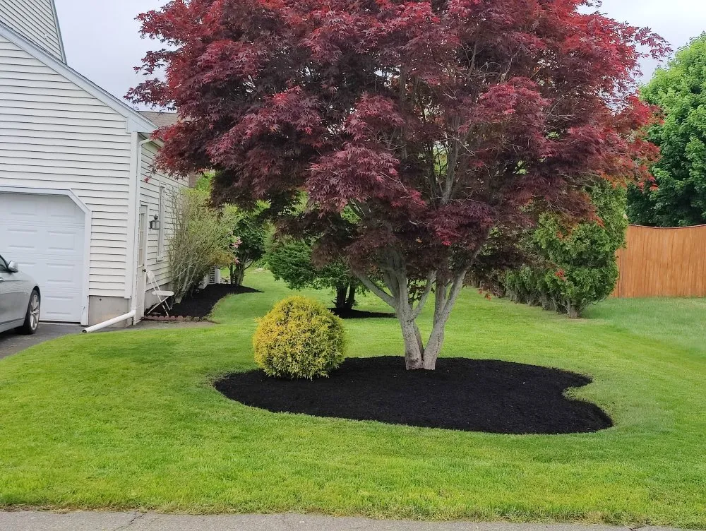 Custom landscape design experts serving Taunton, MA - Vanusas Landscaping