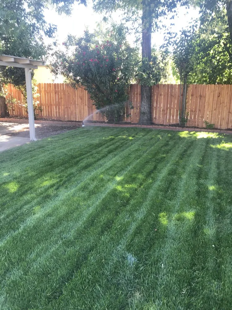 Affordable residential landscaping experts serving Riverbank, CA - Vaquera Lawn And Garden