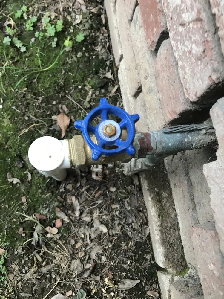 Affordable landscaping services for beautiful yards in Riverbank, CA by Vaquera Lawn And Garden