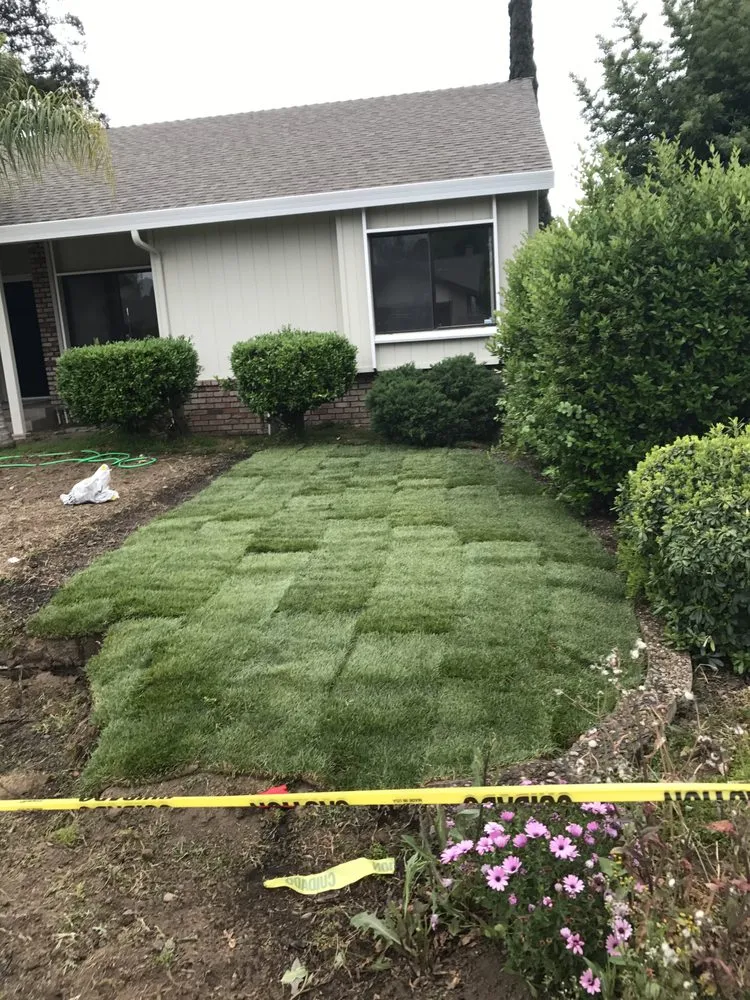 Top-rated lawn care service for homes in Riverbank, CA by Vaquera Lawn And Garden