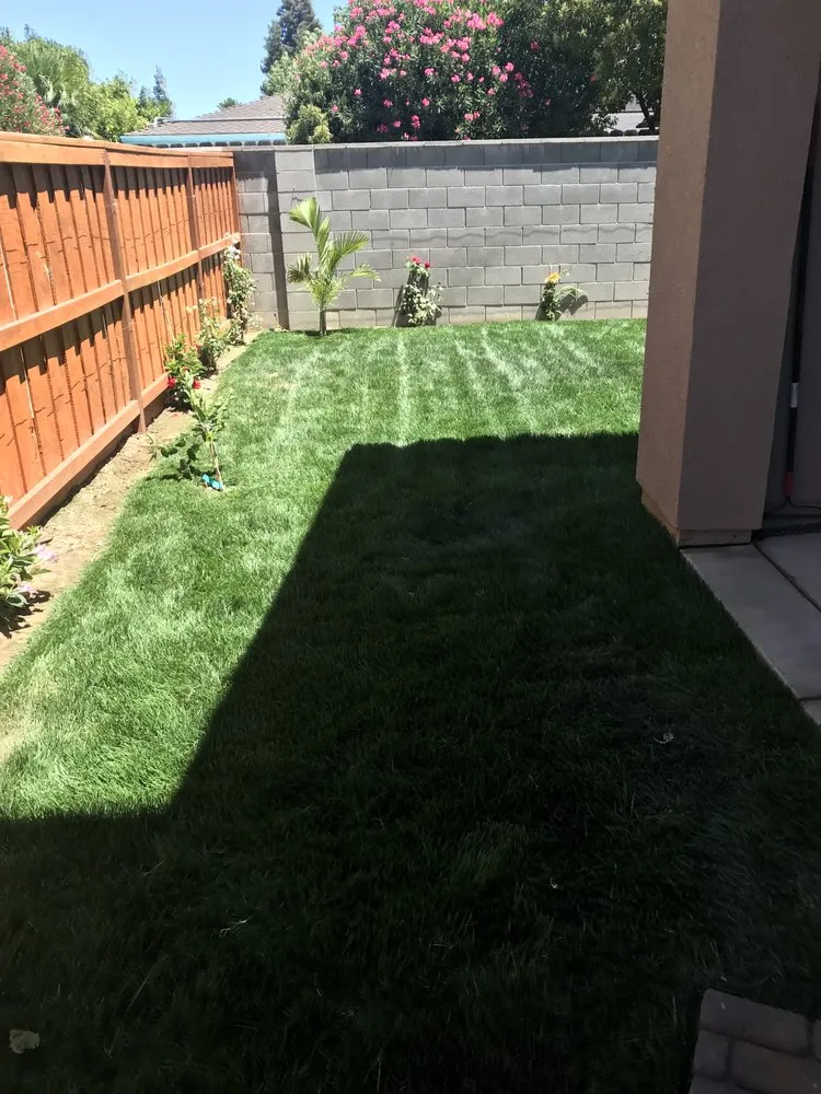 Professional yard cleanup service for year-round maintenance in Riverbank, CA by Vaquera Lawn And Garden