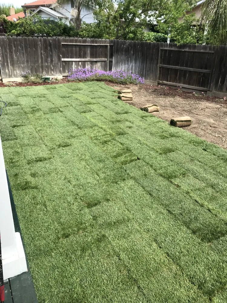 Reliable landscaping services for beautiful yards in Riverbank, CA by Vaquera Lawn And Garden