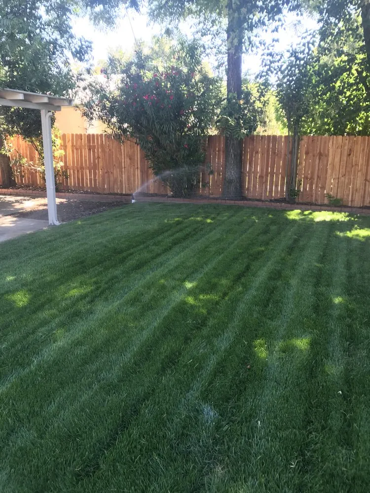 Affordable landscape installation for year-round maintenance in Riverbank, CA by Vaquera Lawn And Garden