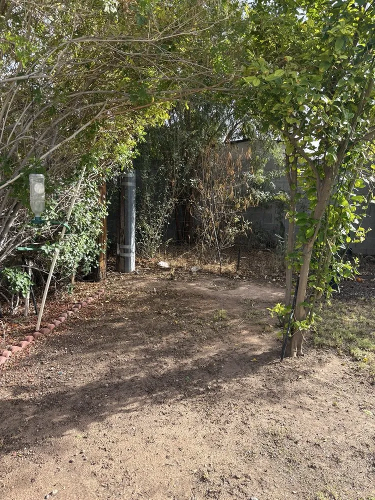 Top-rated residential landscaping experts serving Queen Creek, AZ - Vaquero Exterminators and Landscape