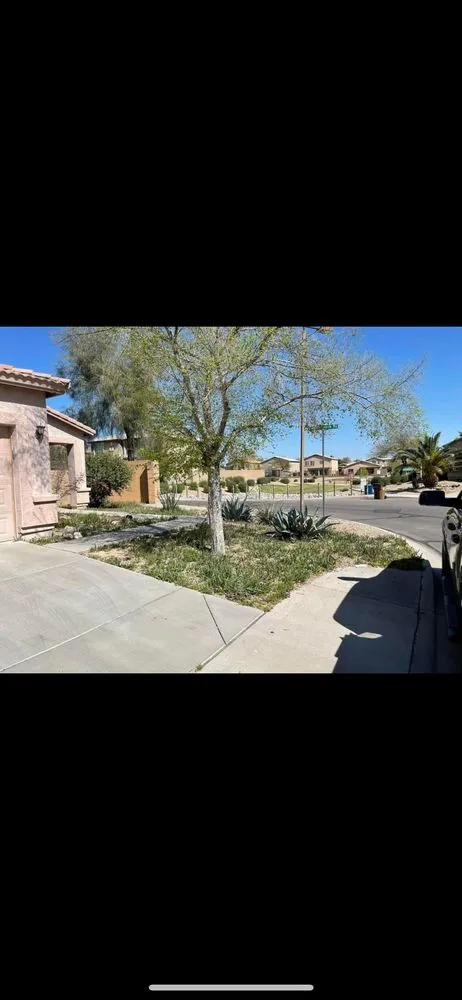 Custom garden landscaping experts serving Queen Creek, AZ - Vaquero Exterminators and Landscape