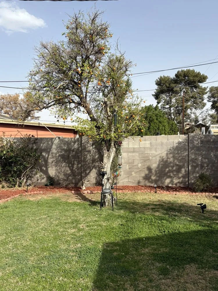 Expert residential landscaping for residential properties in Queen Creek, AZ by Vaquero Exterminators and Landscape