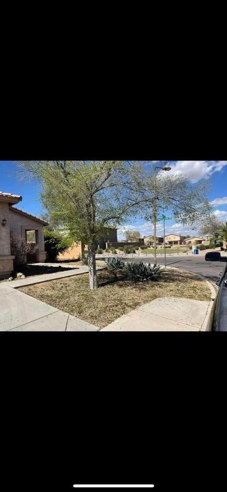 Expert residential landscaping for outdoor upgrades in Queen Creek, AZ by Vaquero Exterminators and Landscape