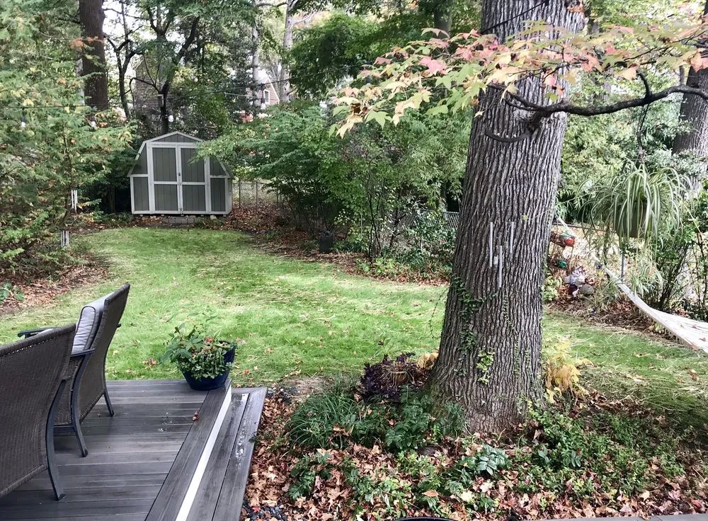 Trusted lawn care service in Hyattsville, MD - Vaquiz Landscaping and Tree Service