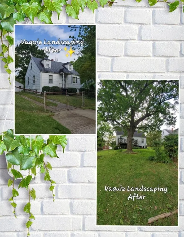 Top-rated landscaping services in Hyattsville, MD - Vaquiz Landscaping and Tree Service