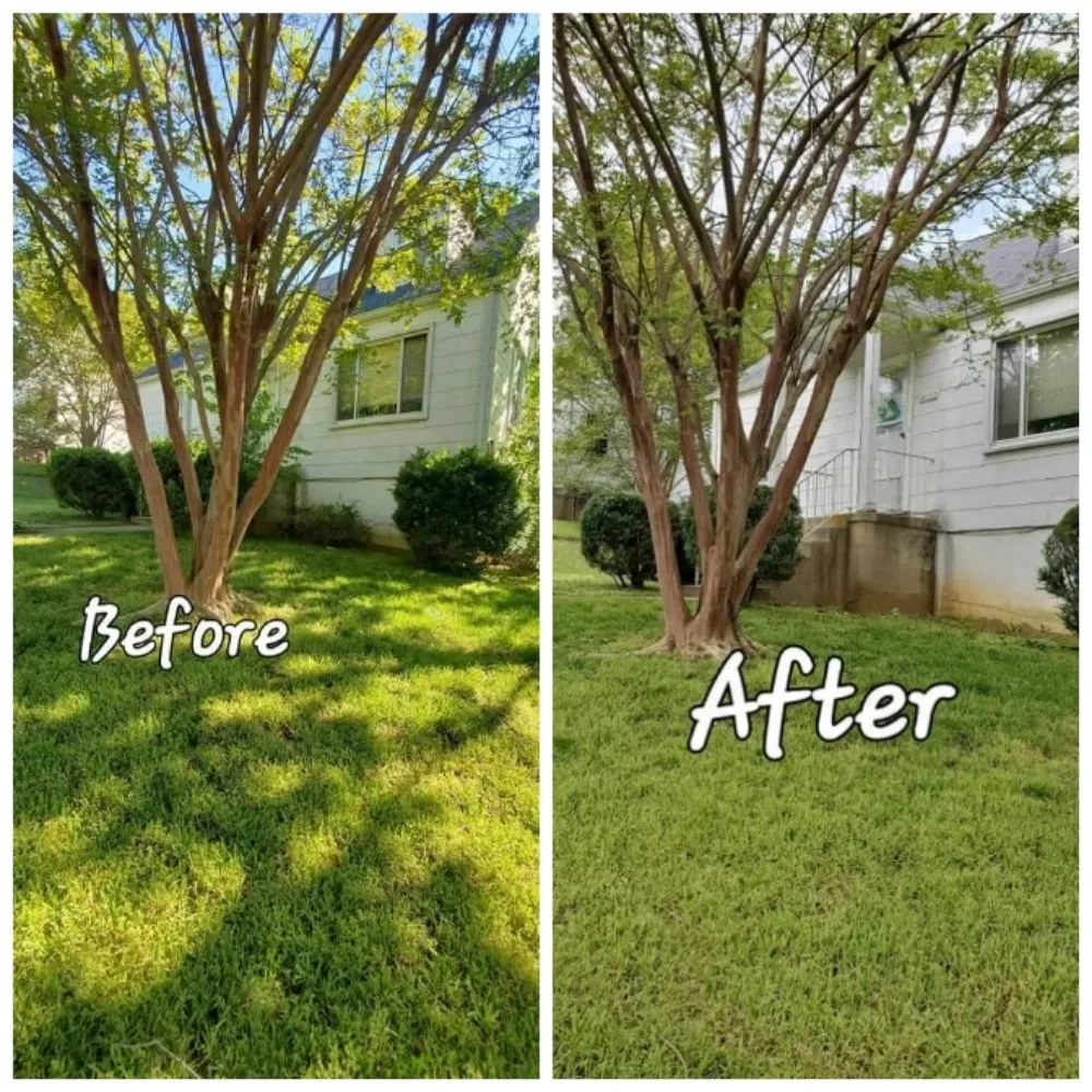 Top-rated yard cleanup service for homes across Hyattsville, MD - Vaquiz Landscaping and Tree Service