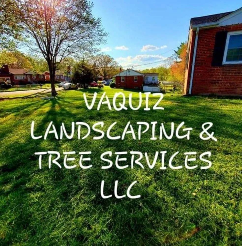 Expert lawn care service in Hyattsville, MD by Vaquiz Landscaping and Tree Service