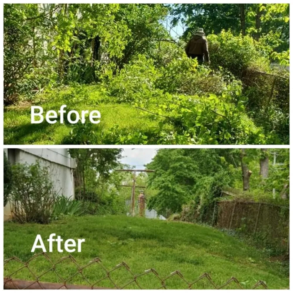 Reliable garden landscaping for homes in Hyattsville, MD by Vaquiz Landscaping and Tree Service