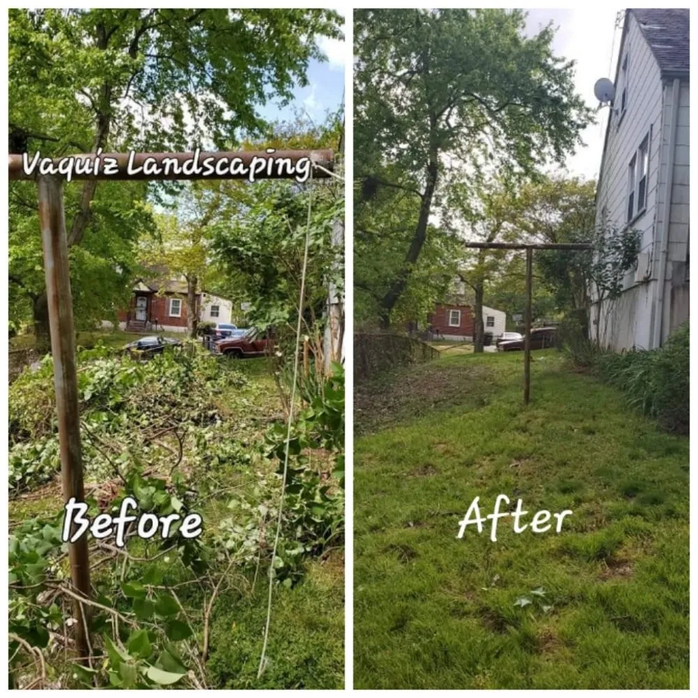 Expert outdoor landscaping in Hyattsville, MD by Vaquiz Landscaping and Tree Service