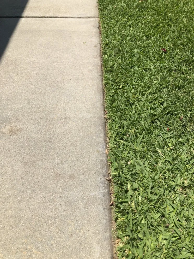 Trusted yard maintenance in Rancho Cucamonga, CA - Vara Lawn Care and Landscaping