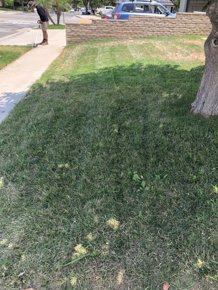 Professional yard cleanup service in Rancho Cucamonga, CA - Vara Lawn Care and Landscaping