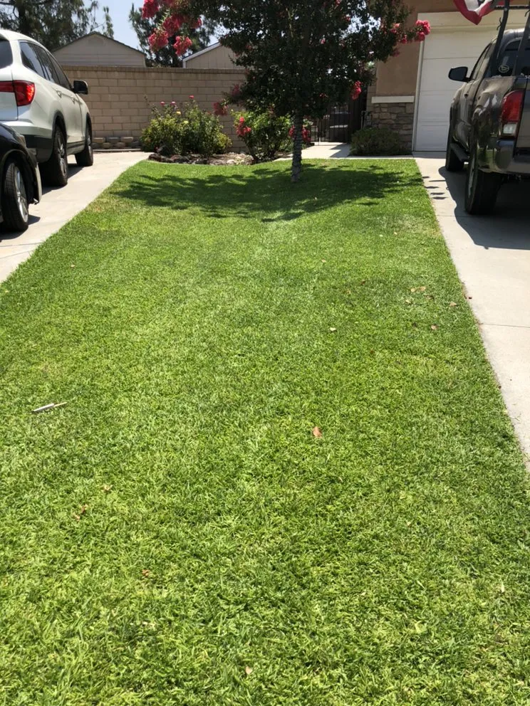 Local outdoor landscaping in Rancho Cucamonga, CA by Vara Lawn Care and Landscaping