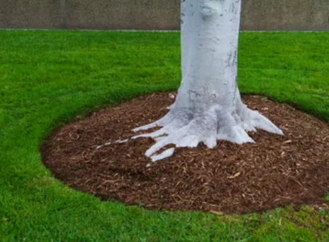 Custom landscaping services in Melrose Park, IL by Varchetta Landscaping