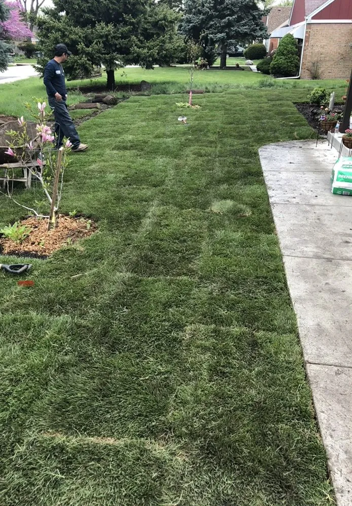 Professional lawn care service experts serving Melrose Park, IL - Varchetta Landscaping