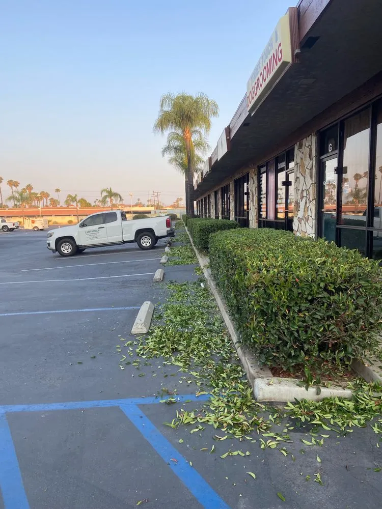 Local outdoor landscaping experts serving Moreno Valley, CA - Varela Landscaping