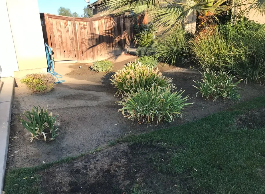 Local yard maintenance for year-round maintenance across Moreno Valley, CA - Varela Landscaping