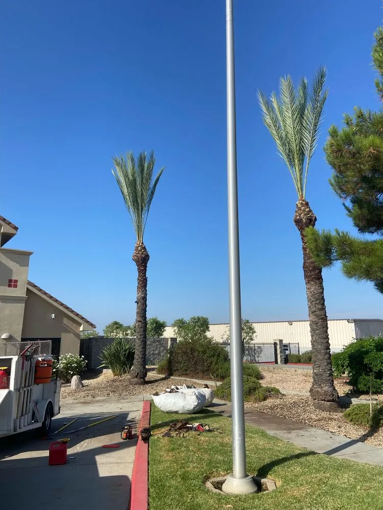 Top-rated landscape installation experts serving Moreno Valley, CA - Varela Landscaping