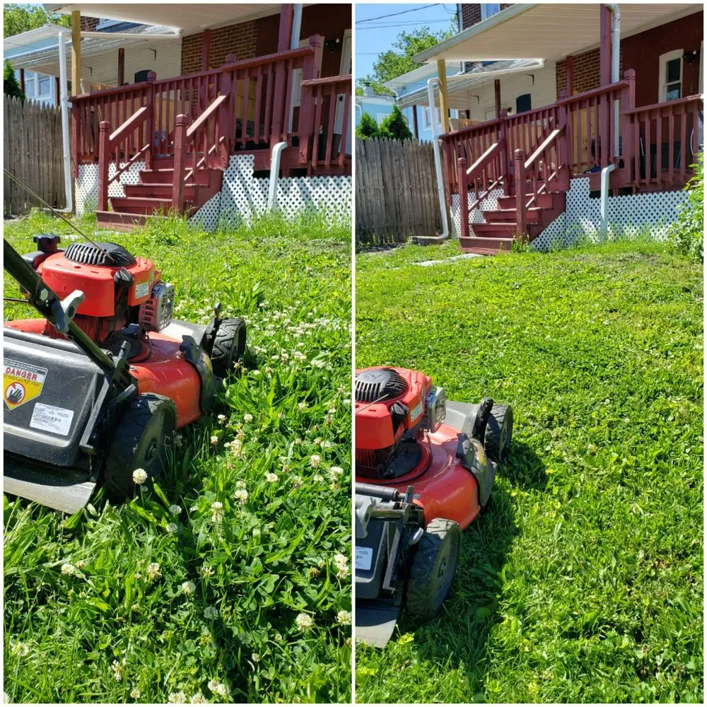 Expert lawn care service for outdoor upgrades in Allentown, PA by Varela Lawn Care