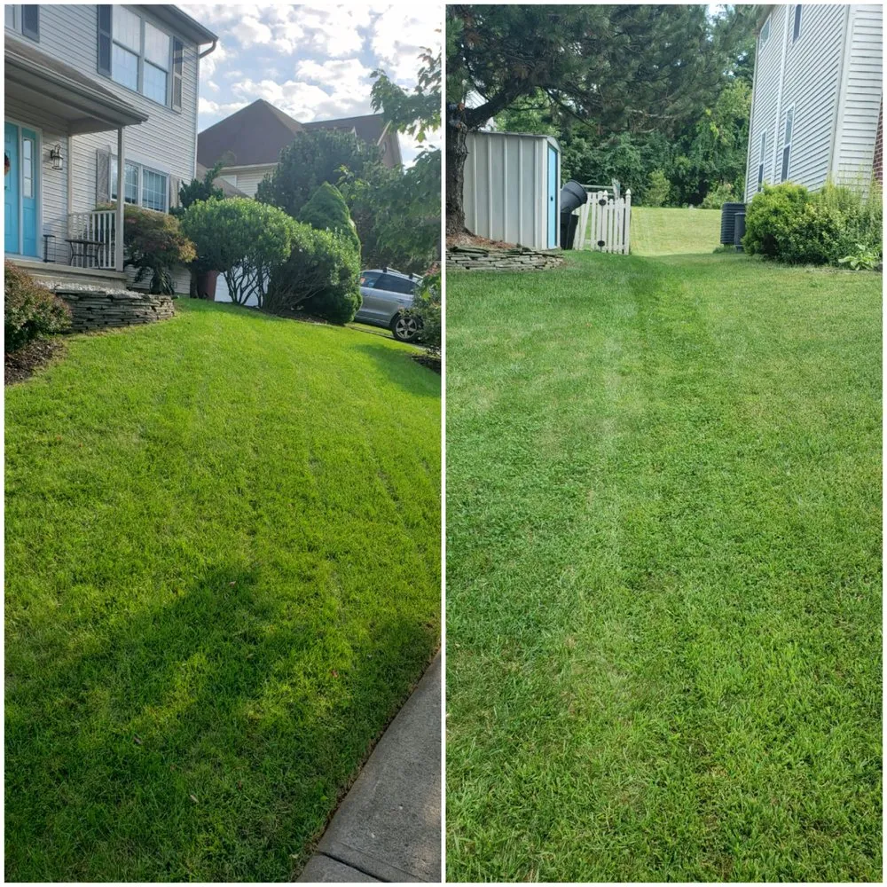 Expert landscape design experts serving Allentown, PA - Varela Lawn Care