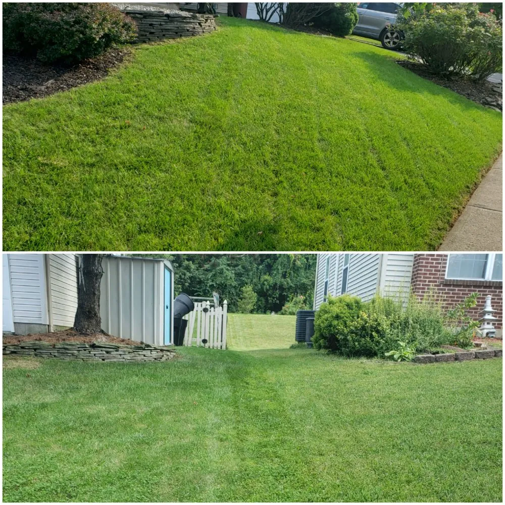Custom yard cleanup service for outdoor upgrades across Allentown, PA - Varela Lawn Care