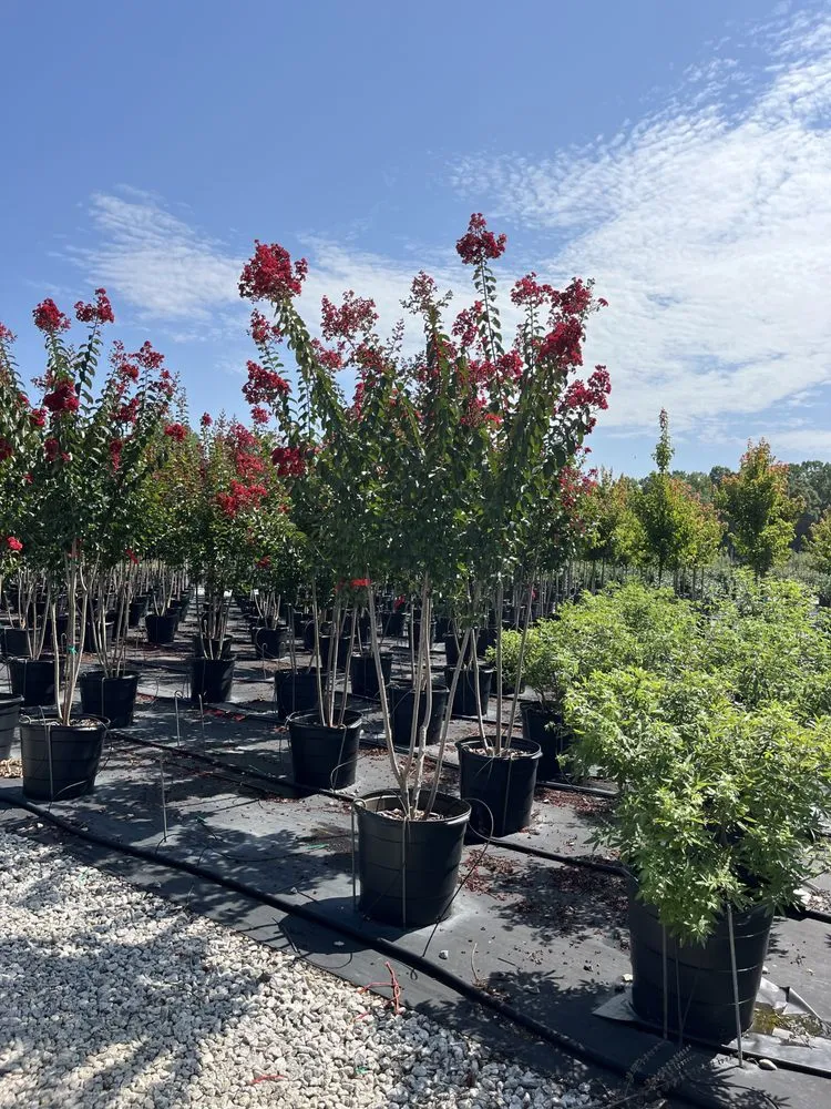 Trusted yard maintenance in Griffin, GA by Varela's Landscaping