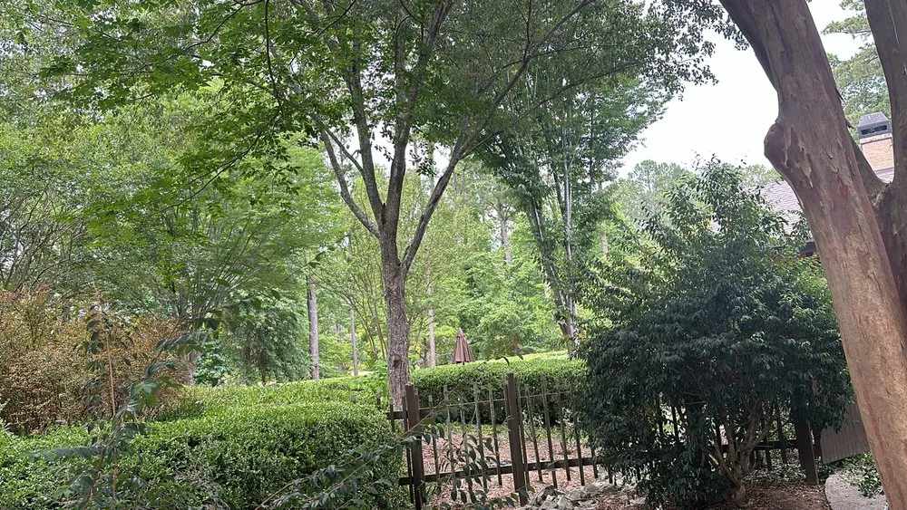 Expert lawn care service for year-round maintenance in Griffin, GA by Varela's Landscaping