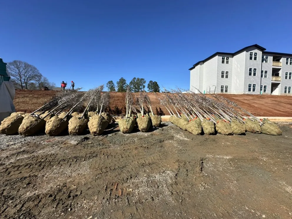 Professional outdoor landscaping in Griffin, GA - Varela's Landscaping