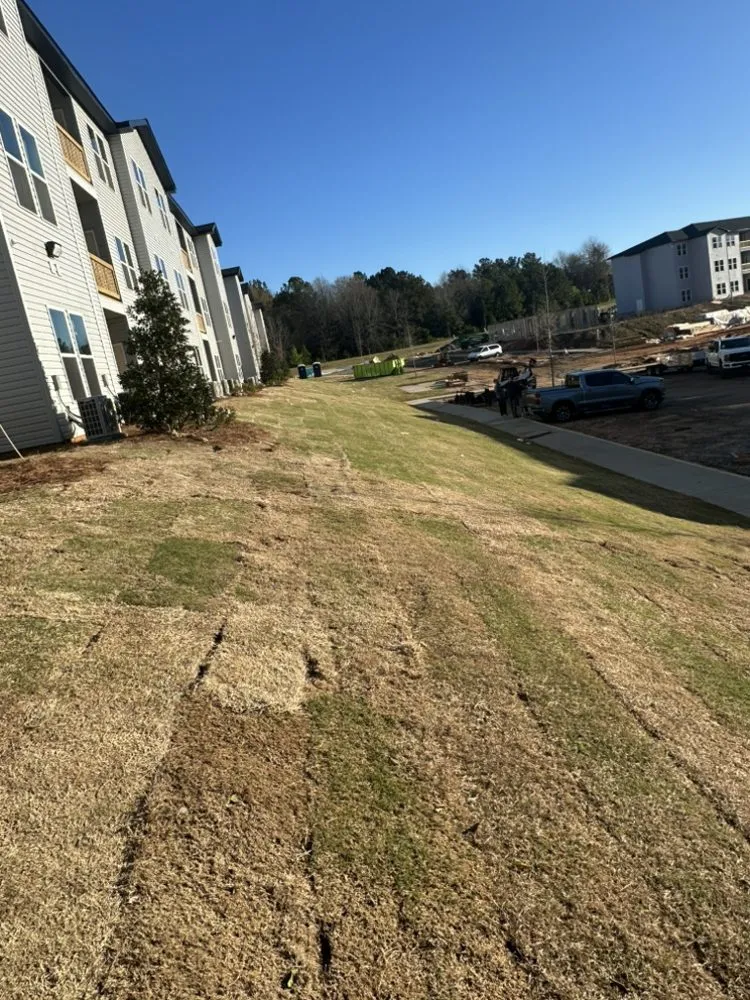 Affordable residential landscaping in Griffin, GA by Varela's Landscaping
