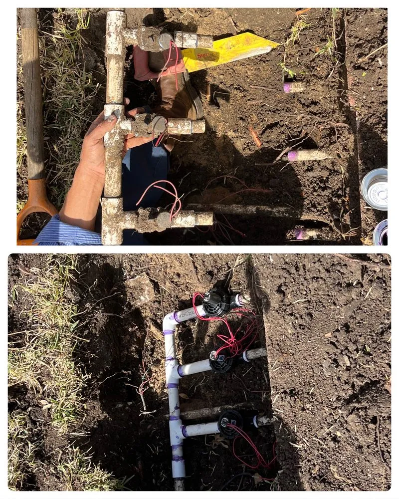 Custom landscaping services in Dallas, TX - Vargas Landscape and Sprinklers